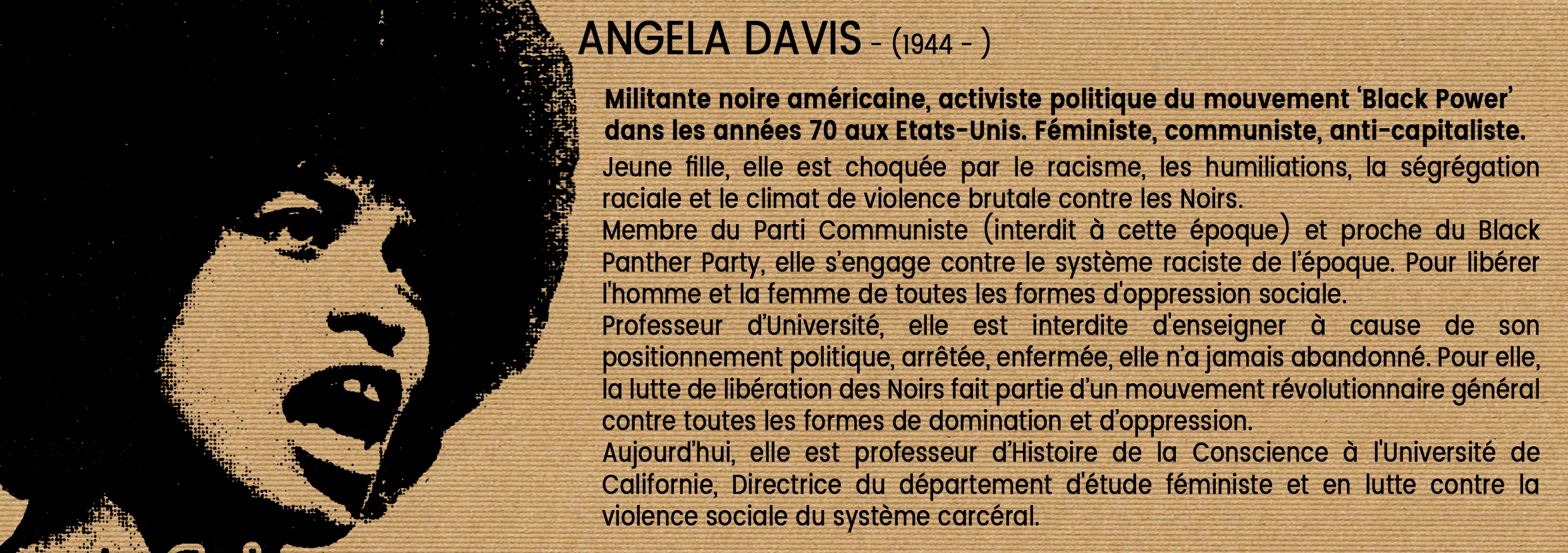 Angela Davis Histoire